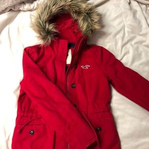 Hollister Winter Jacket